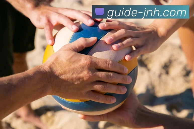 金年会体育APP 封面图